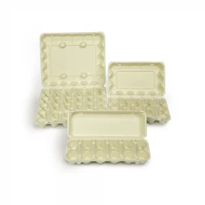 Egg Carton