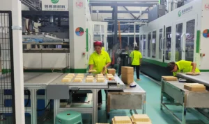 Leadgoal formal production (2)