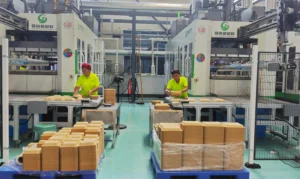 Leadgoal formal production (4)