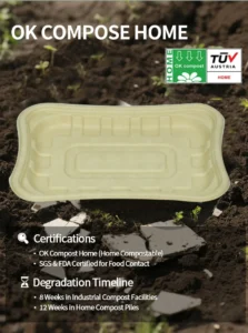 T09 Fresh Food Tray (7)