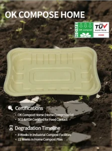 T10 Fresh Food Tray (7) T10 Fresh Food Tray (7)