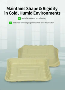 T14 Fresh Food Tray (3)