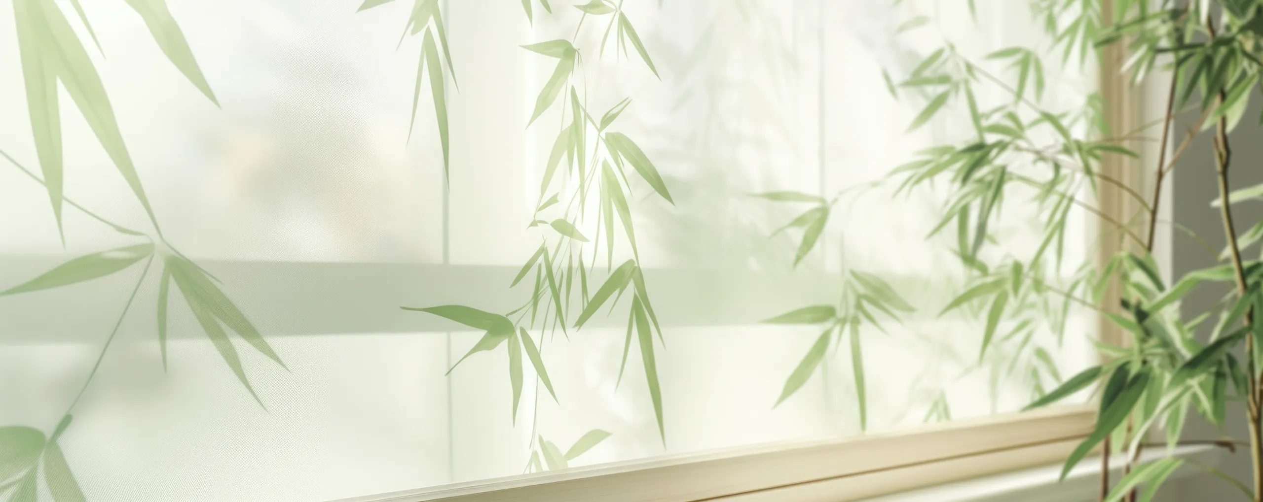 invigorating bamboo gentle light background showcases fresh springlike colors sunlight