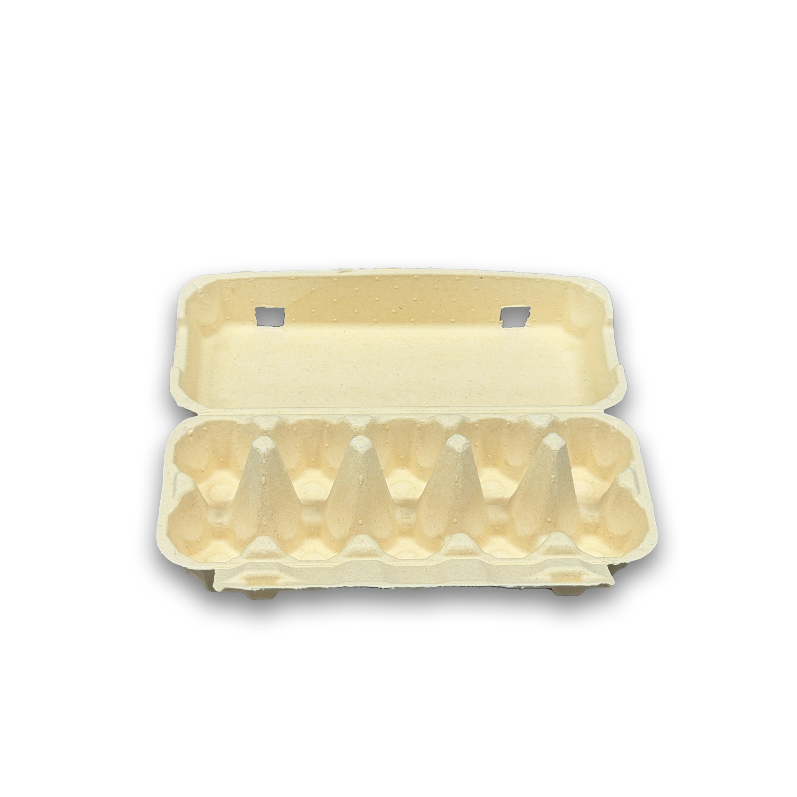 E10 Egg Carton (1)