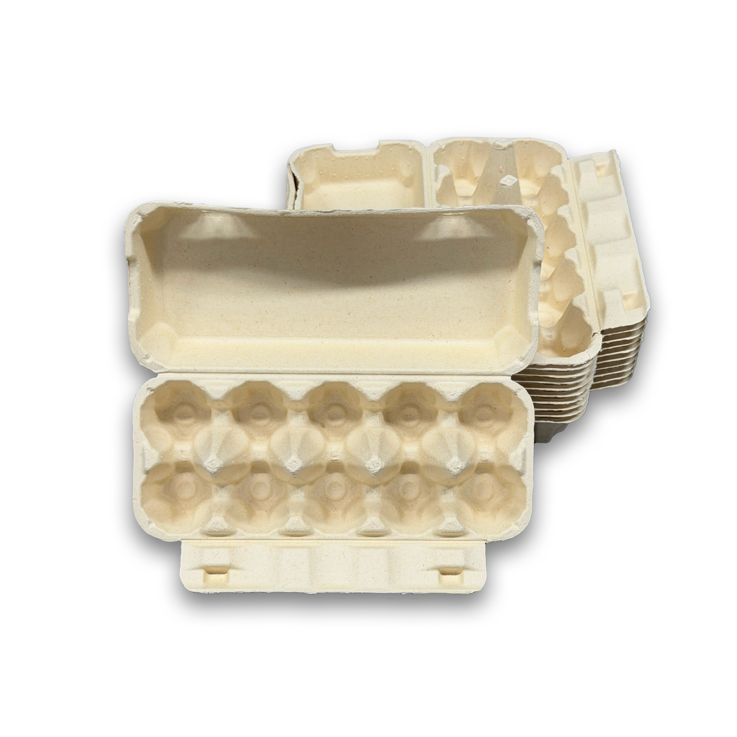 E10 Egg Carton (2)