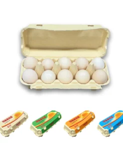 E10 Egg Carton