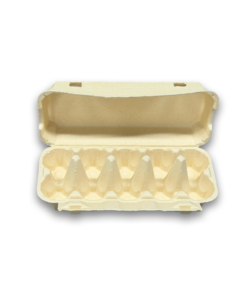 E10 Egg Carton (3)