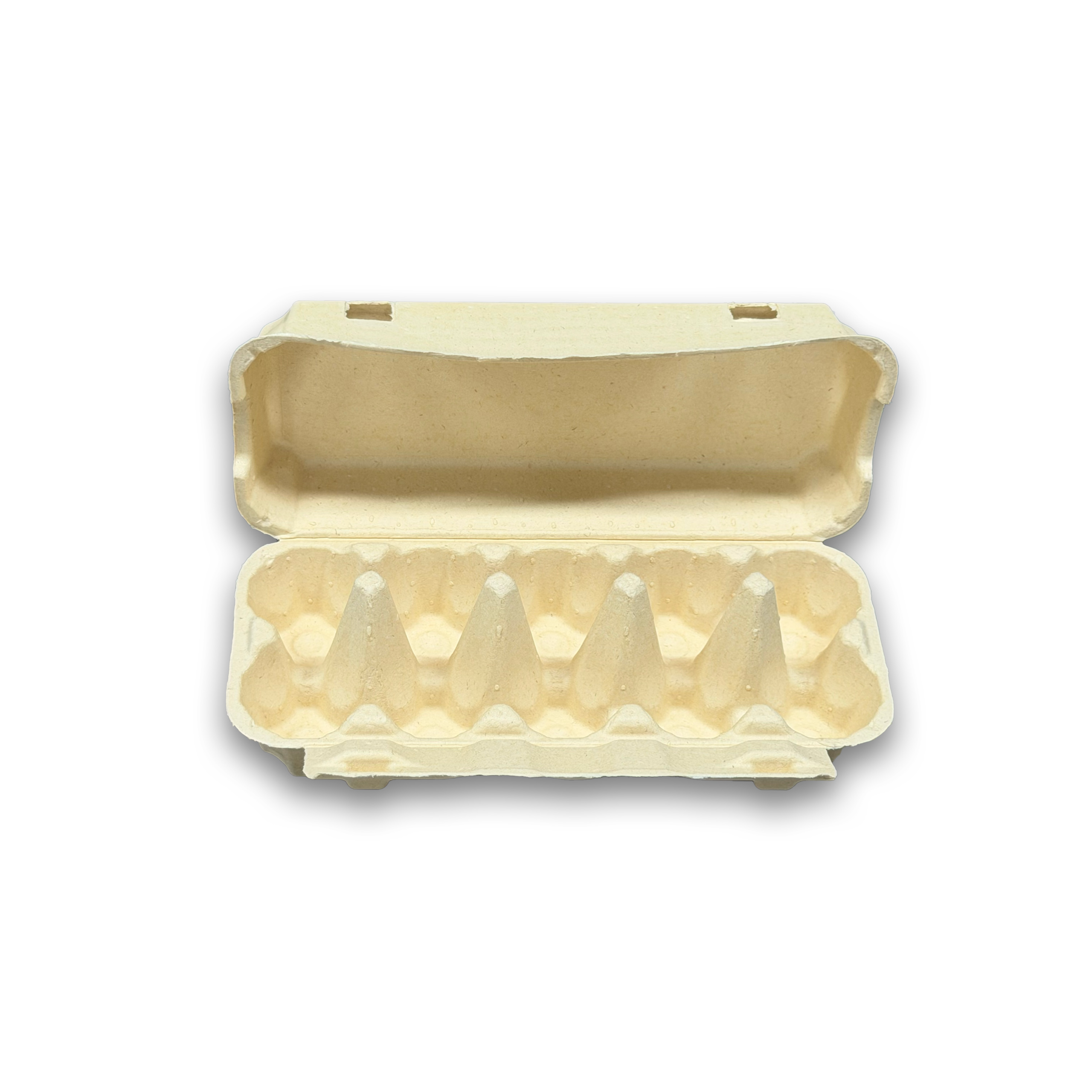 E10 Egg Carton (3)