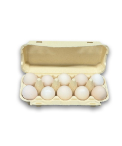 E10 Egg Carton (4)