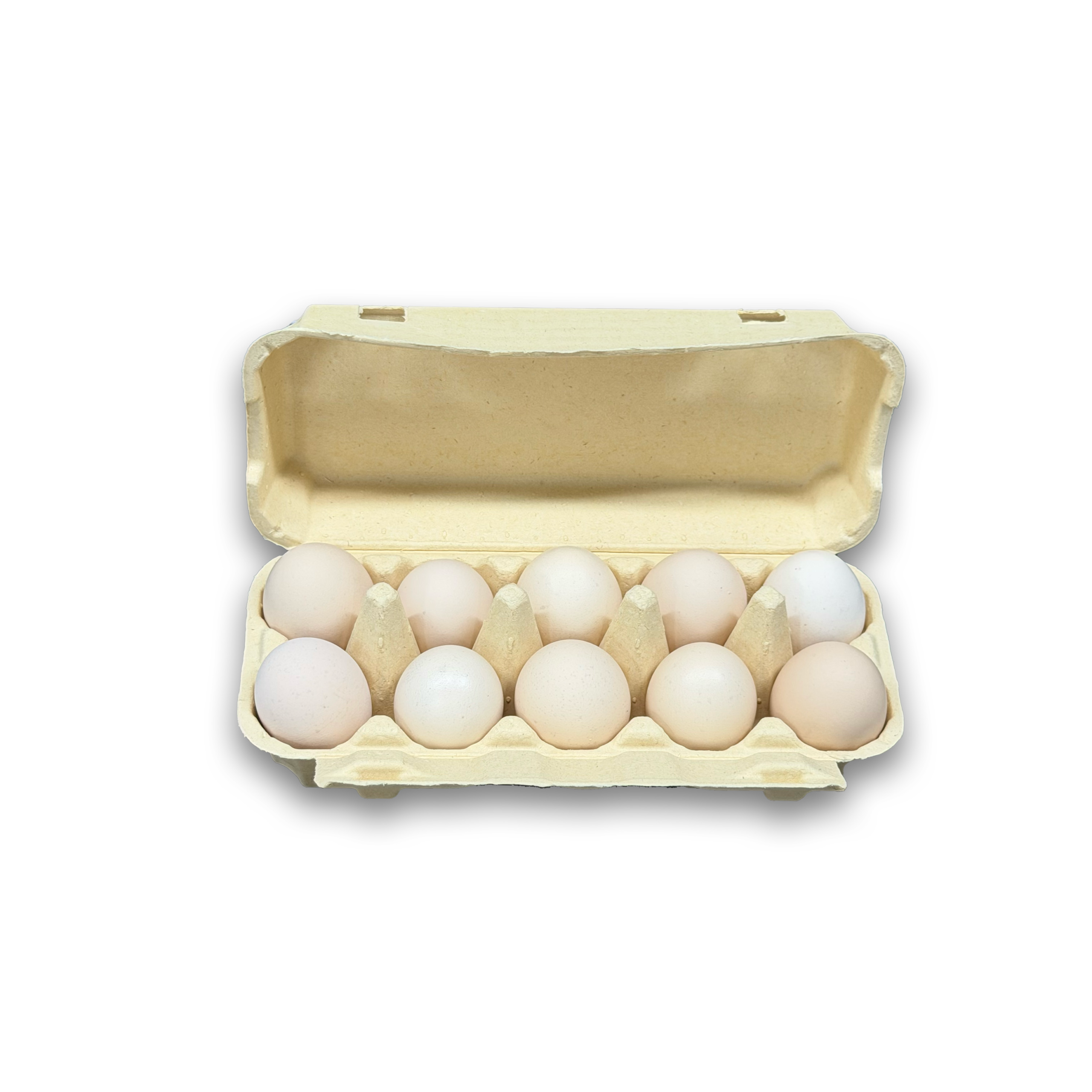 E10 Egg Carton (4)