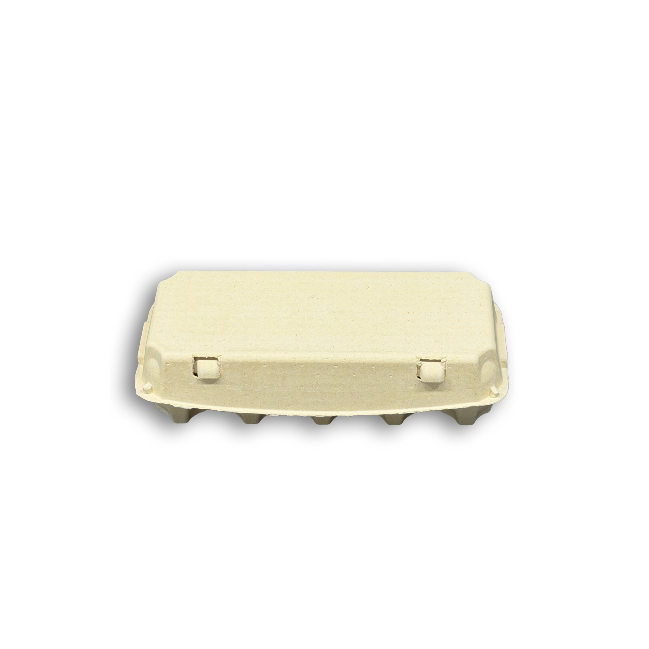 E10 Egg Carton (5)