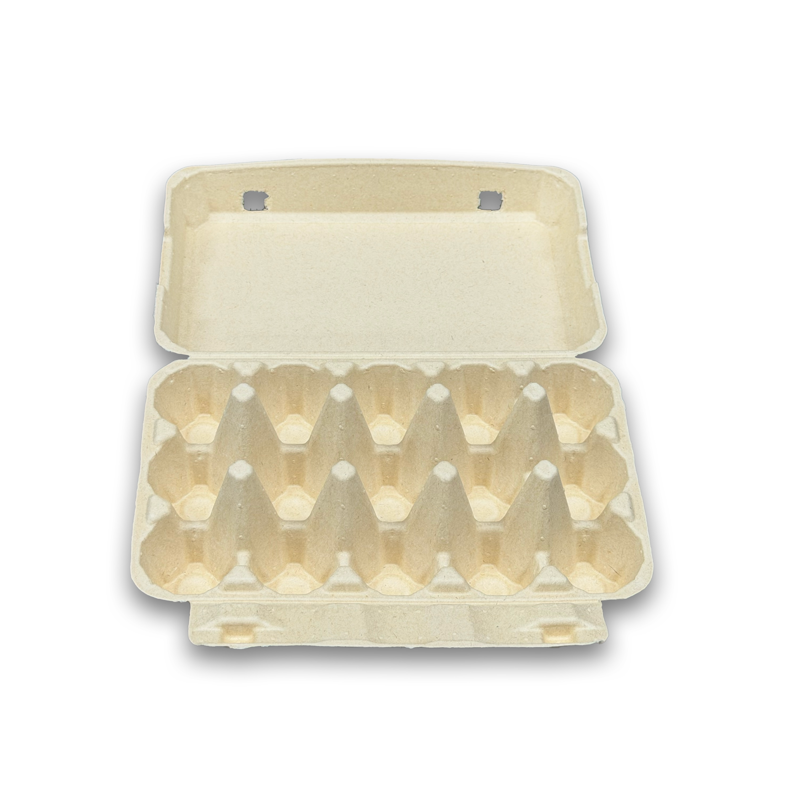 E15 Egg Carton (1)