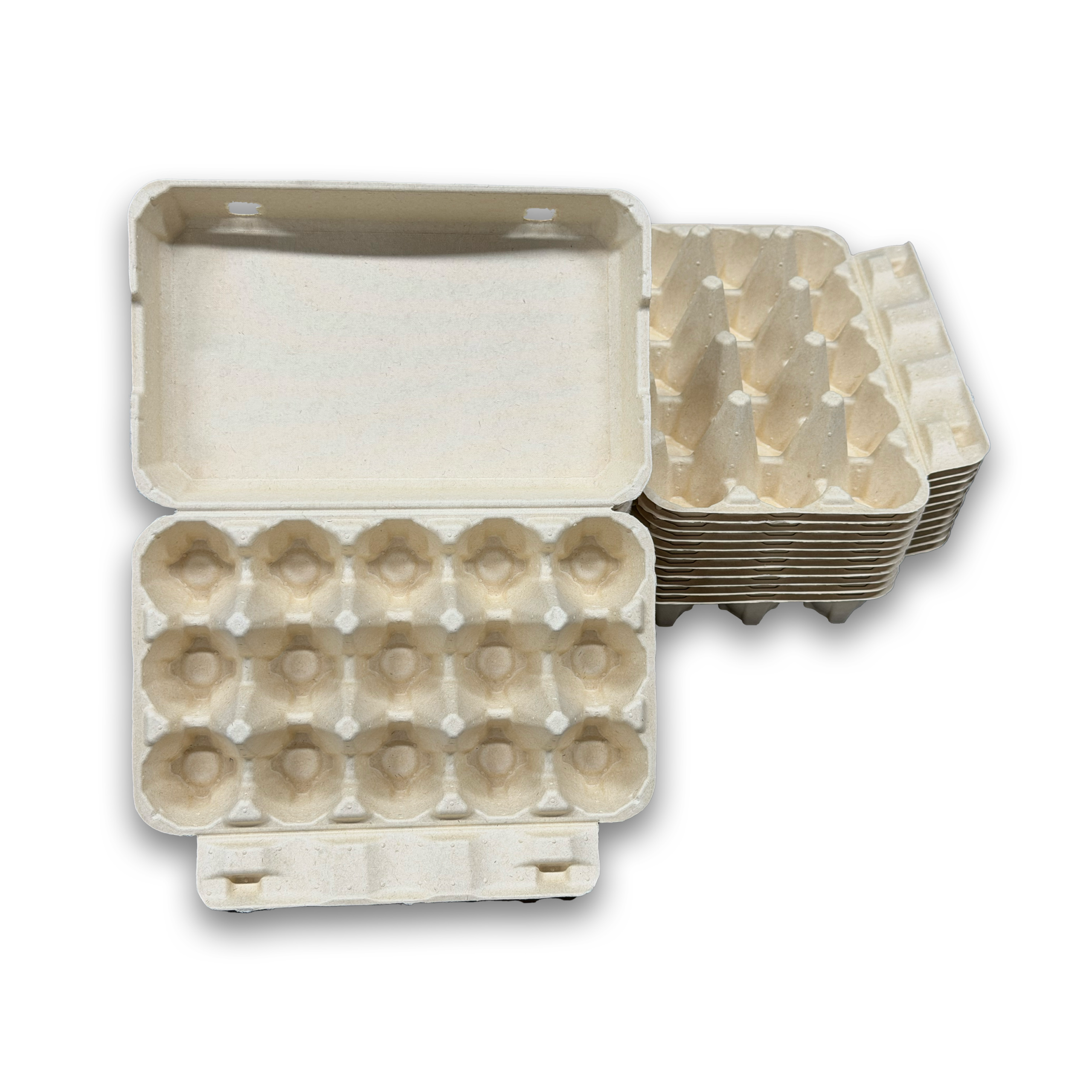 E15 Egg Carton (2)