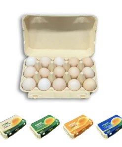 E15 Egg Carton