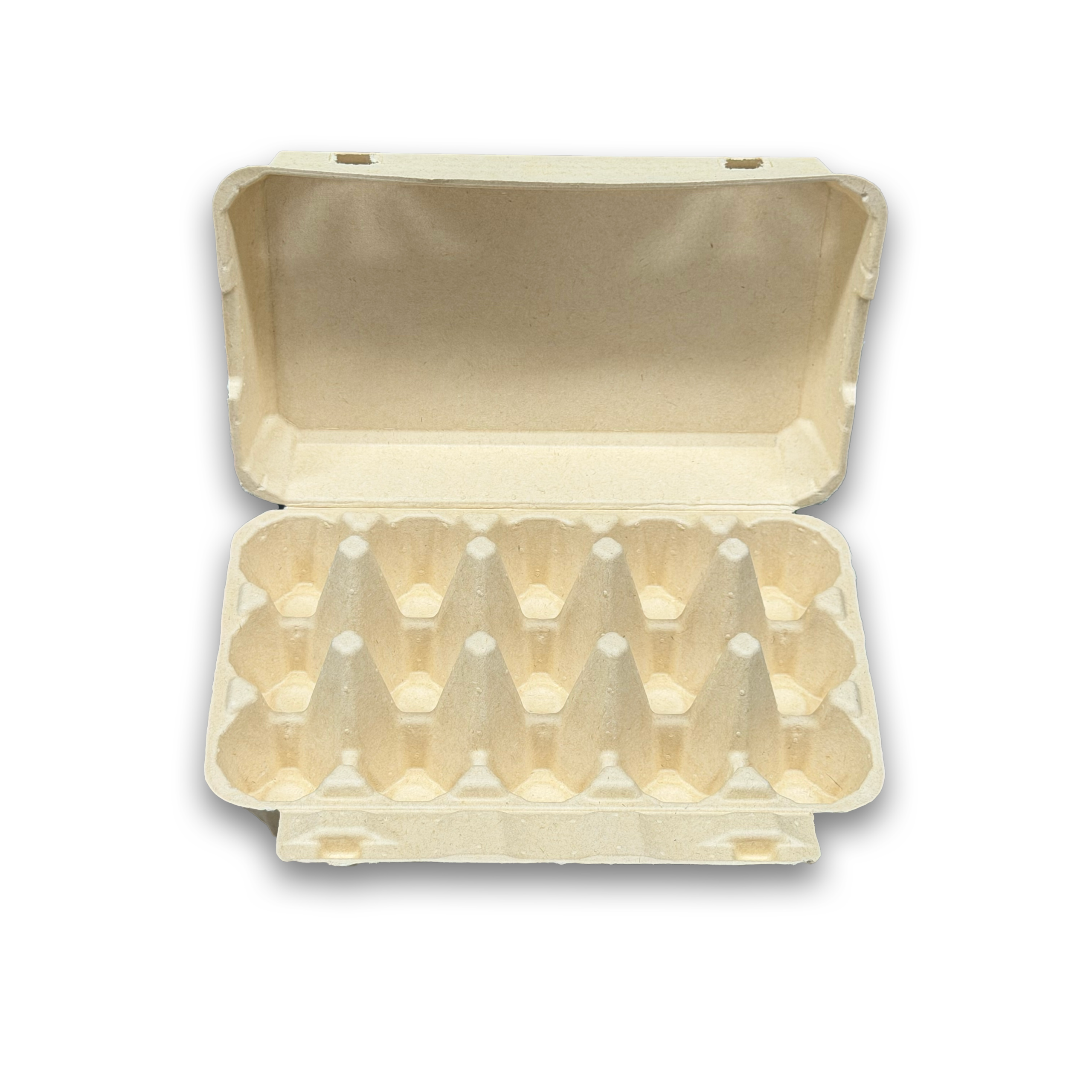 E15 Egg Carton (3)