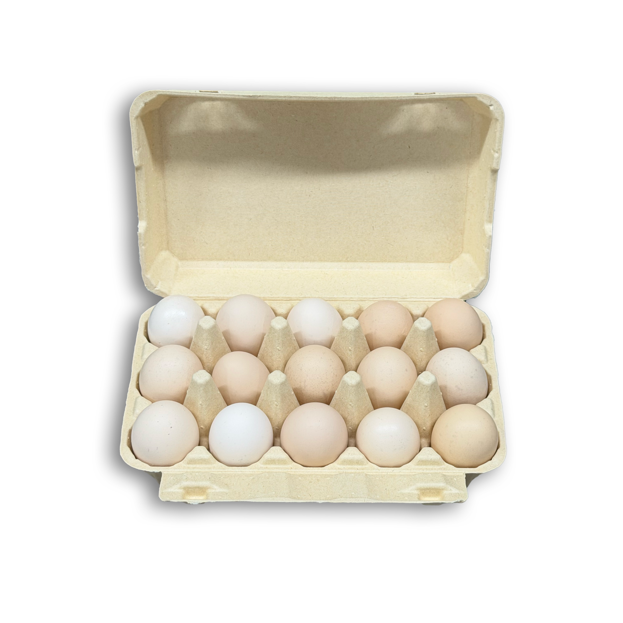 E15 Egg Carton (4)