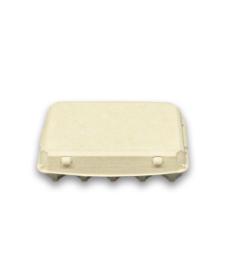 E15 Egg Carton (5)