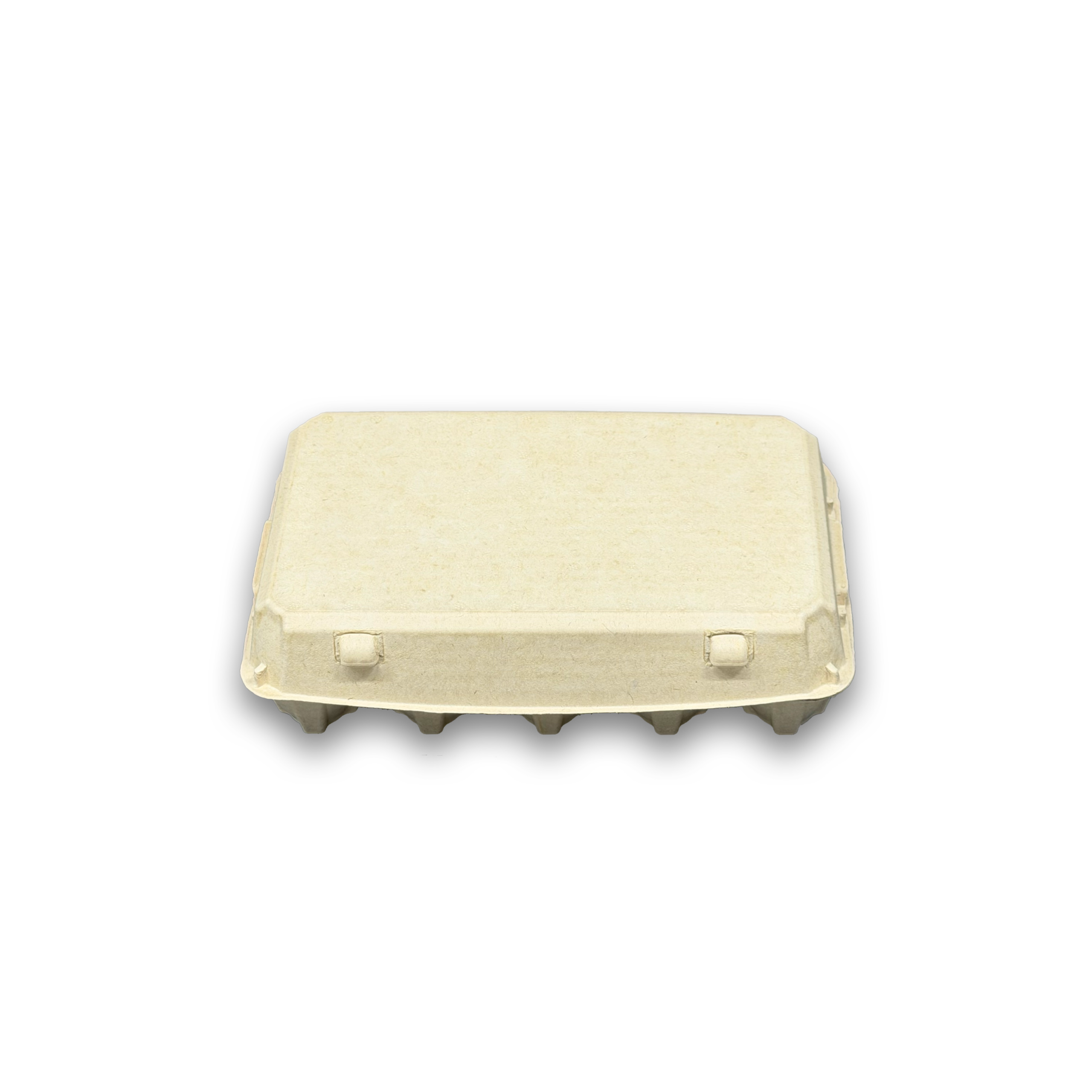 E15 Egg Carton (5)
