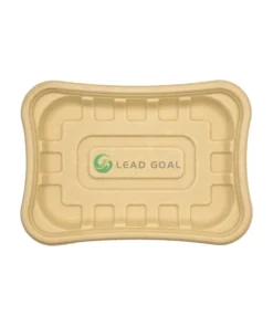 T09 Fresh food tray (2)