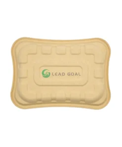 T09 Fresh food tray (3)