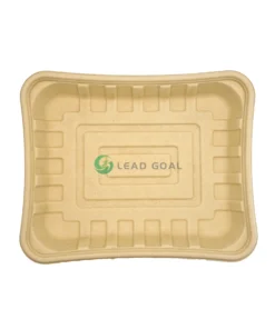 T15 Fresh food tray (2)