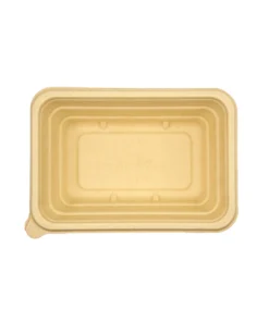 T19 Food container 2