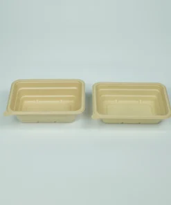 T19 Food container 6