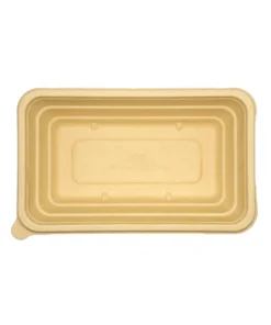 T20 Food container 2