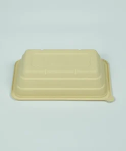 T20 Food container 5