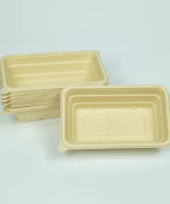 T20 Food container 6