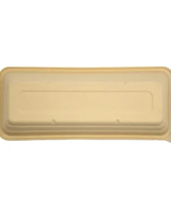 T21 Food container 3