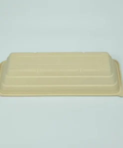 T21 Food container 5