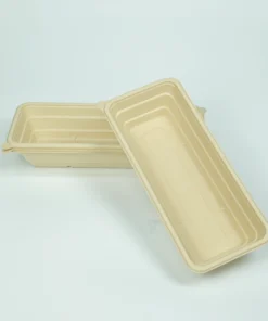 T21 Food container 6