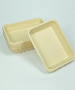 T22 Food container 6