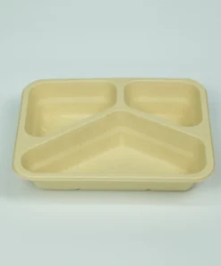 T24 Food container 4