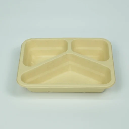 T24 Food container 4