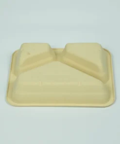 T24 Food container 5