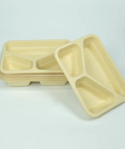 T24 Food container 6