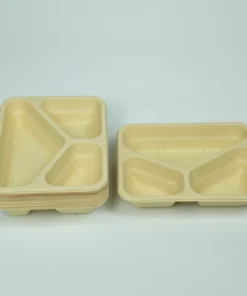 T24 Food container 7