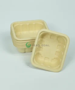 T25 produce tray (7)