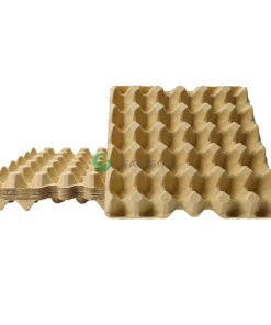 30Cell Egg Tray (4) watermarked