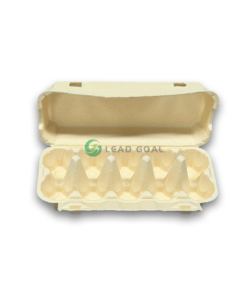 E10 Egg Carton (3)