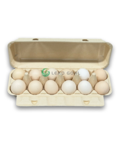 E12 Egg Carton (3)