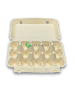 E15 Egg Carton (1)