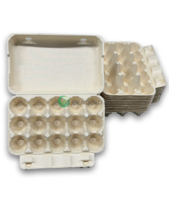 E15 Egg Carton (2)