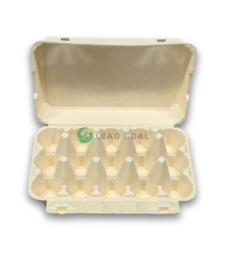 E15 Egg Carton (3)