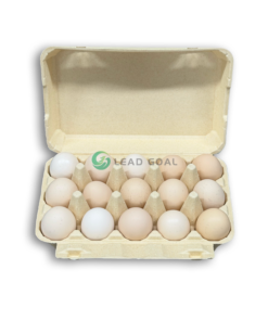E15 Egg Carton (4)