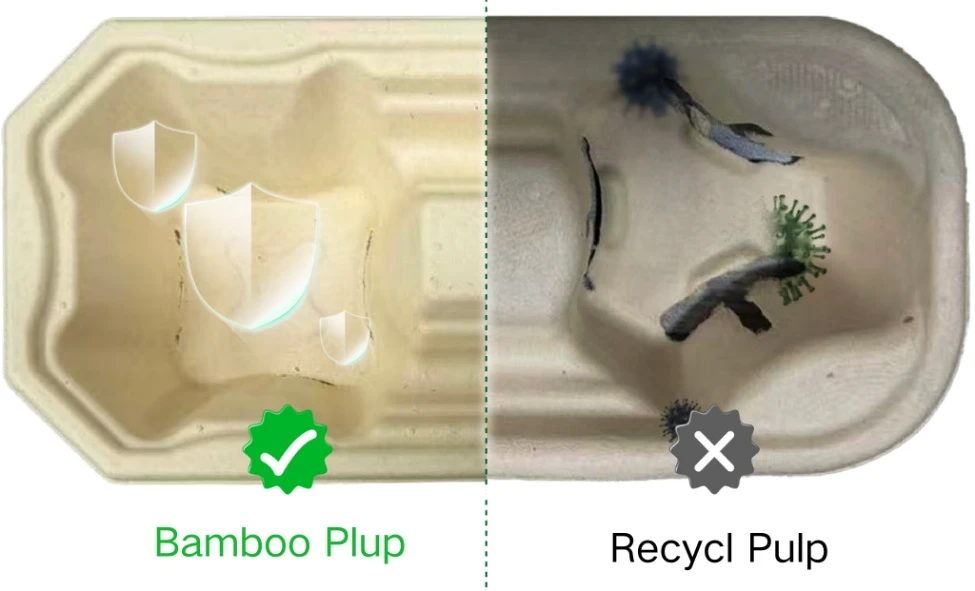 Bamboo Pulp Cup Tray vs Recycled Paper Odorless FSC Certified, Stable Supply