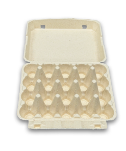 E20 Egg Carton (1)