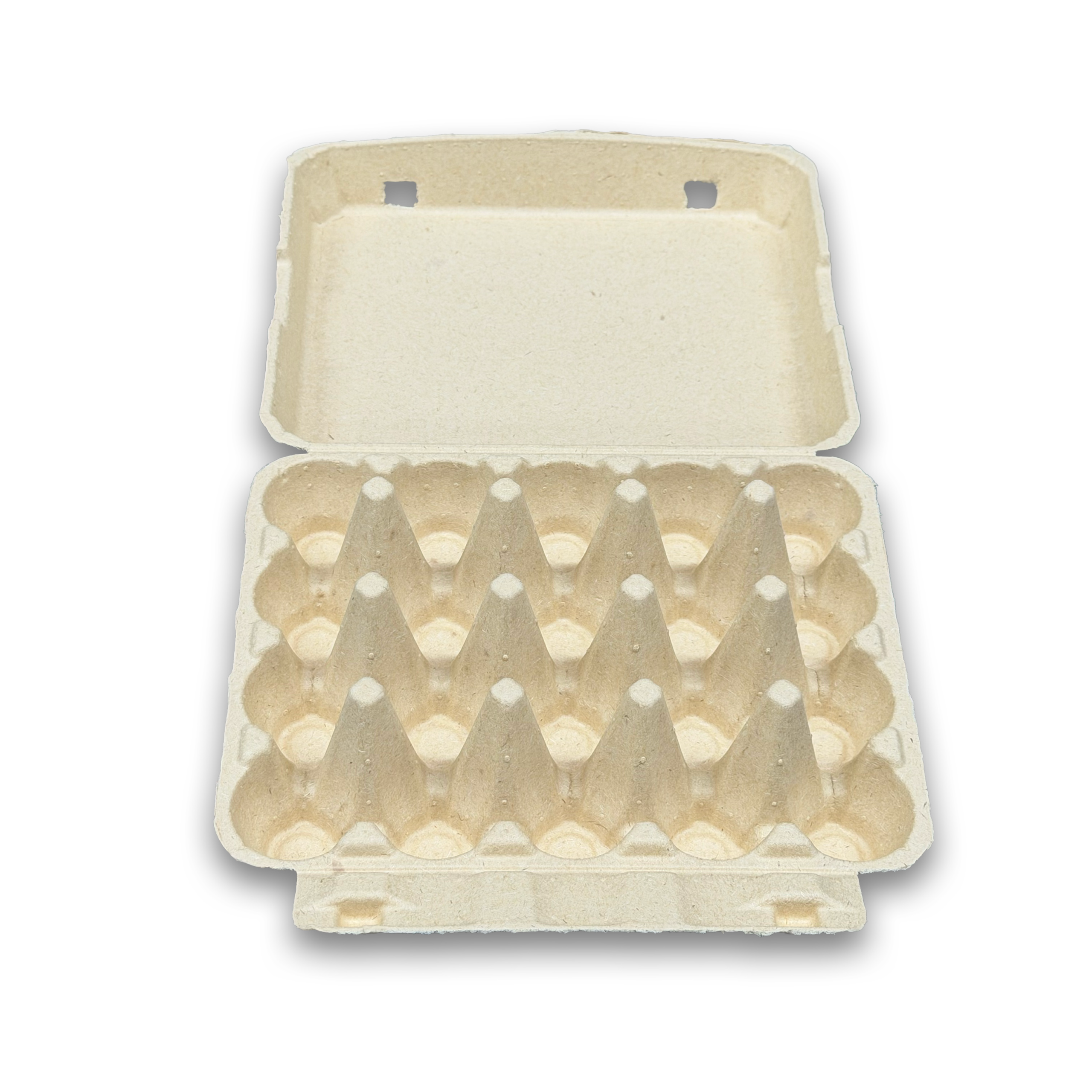 E20 Egg Carton (1)